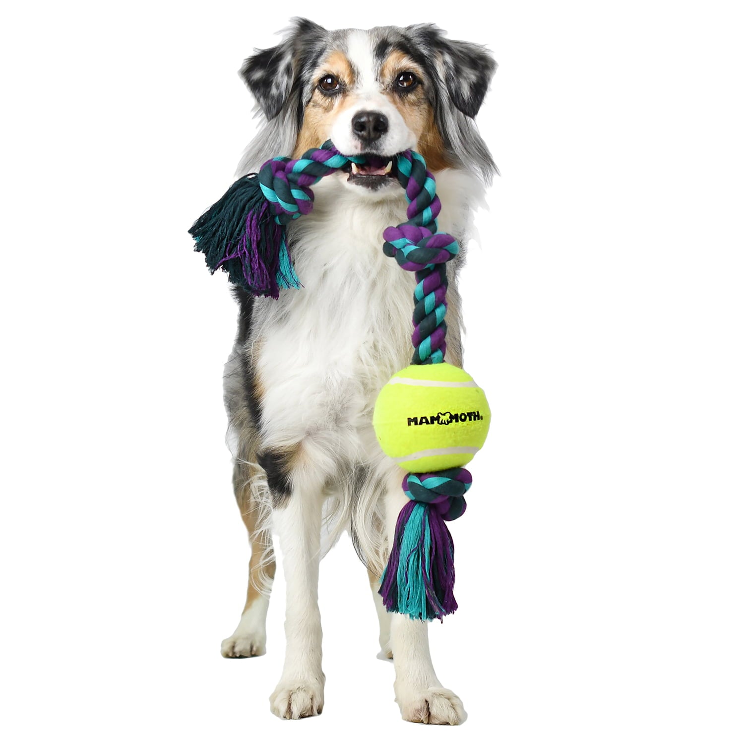 Mammoth Flossy Chews 3 Knot Rope Tug Dog Toy， Multi-color