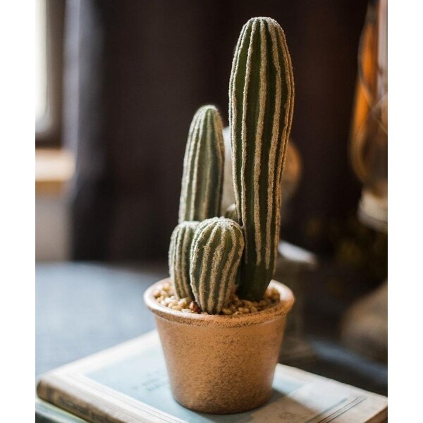 RusticReach Artificial Cactus in Brown Pot