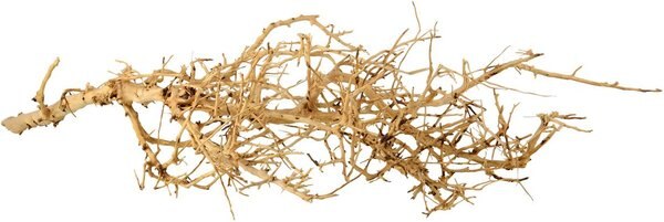 Underwater Treasures Bird Nest Wood Fish Ornament