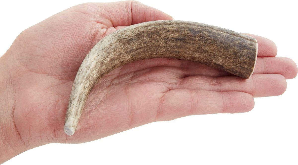 Health Extension 4-in Whole Elk Antler， Medium