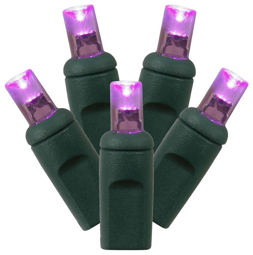 Vickerman 50lt LED GW WA EC Set 1Pc 6 quotx25  x27L   Traditional   Christmas Decorations   by Vickerman Company  Houzz