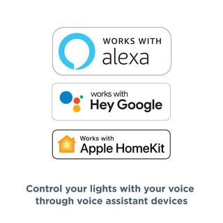 Brilliant Smart Dimmer Switch (Black) - Alexa Google Assistant Hue LIFX TP-Link and more BHS120US-BK1