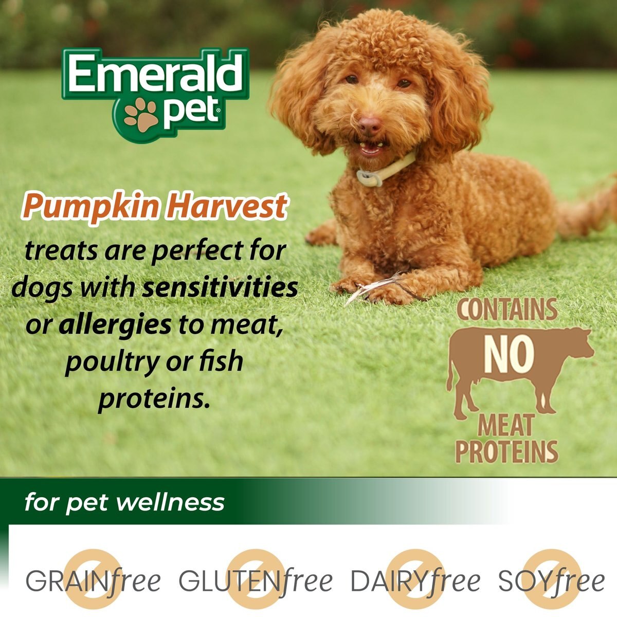 Emerald Pet Pumpkin Harvest Oven Baked With Apple Chicken-Free Dog Treats， 6-oz bag