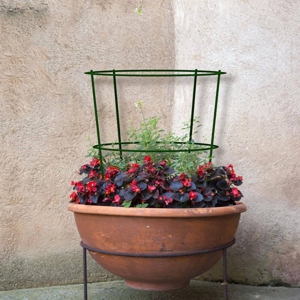 Gardener's Blue Ribbon 19 in. H Green Powder Coated Steel Grow Cage 901596EV