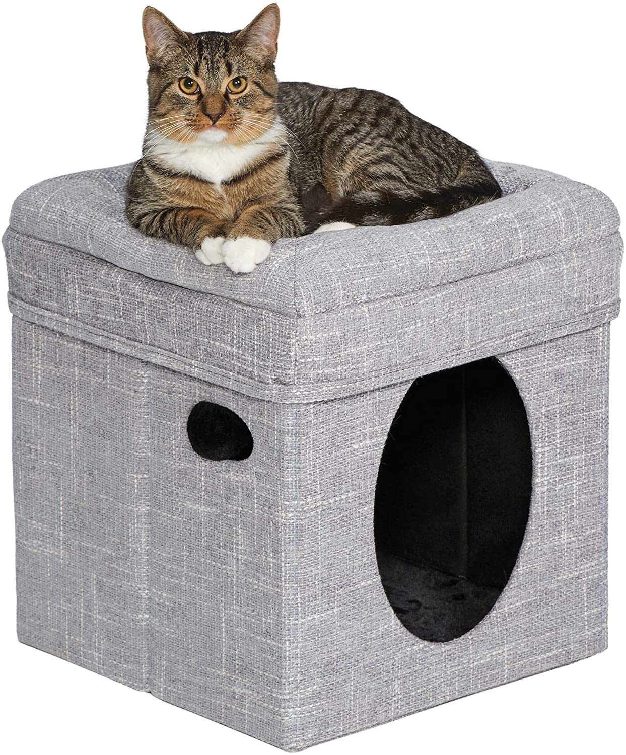 MidWest Curious Cube Condo + Catty Scratch Cat Scratcher with Catnip， Small， Silver