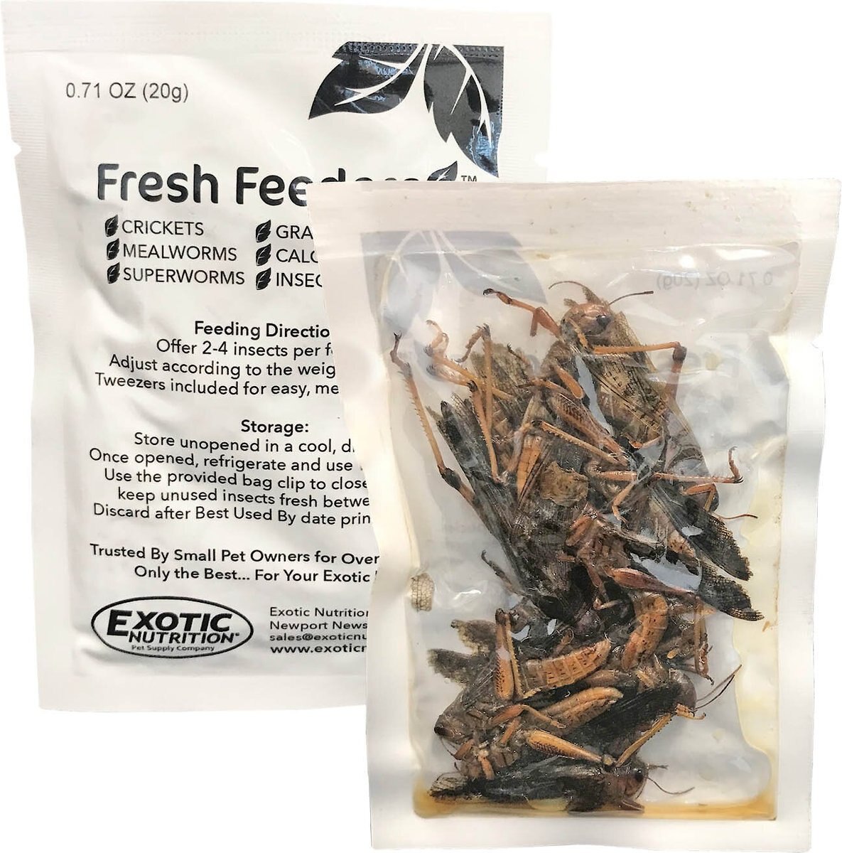 Exotic Nutrition Fresh Feeders Grasshoppers Reptile Food， 5-oz box