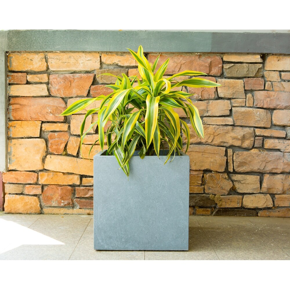 Durx litecrete Lightweight Concrete Modern Square Cement Color Planter  Small   9.8'x9.8'x9.8'