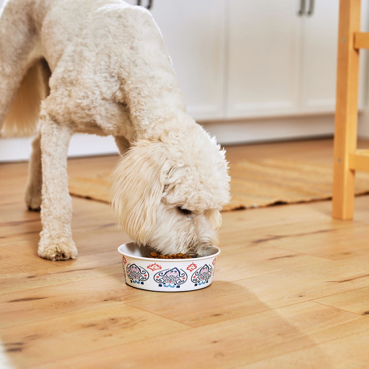 Frisco Bohemian Non-Skid Stainless Steel Dog and Cat Bowl