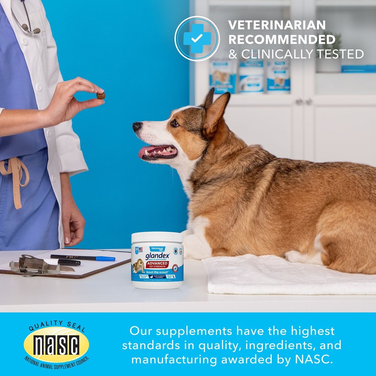 Vetnique Labs Glandex Advanced Strength Anal Gland Dog Supplement