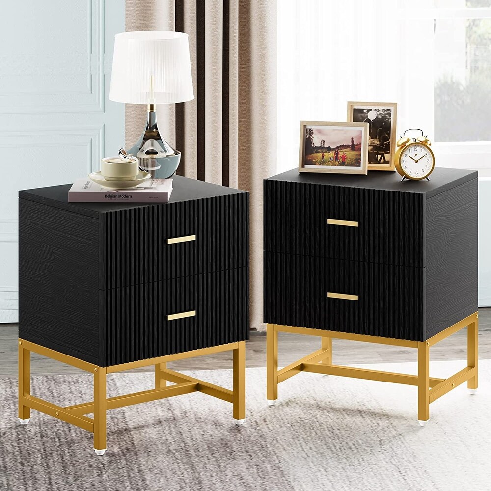 Nightstand 2 Drawer  Bed Side Table with Storage Cabinet End Table