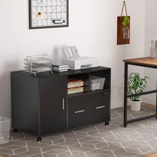 TRIBESIGNS WAY TO ORIGIN Catherine Black File Cabinet with Lock and Drawer HD-C0299