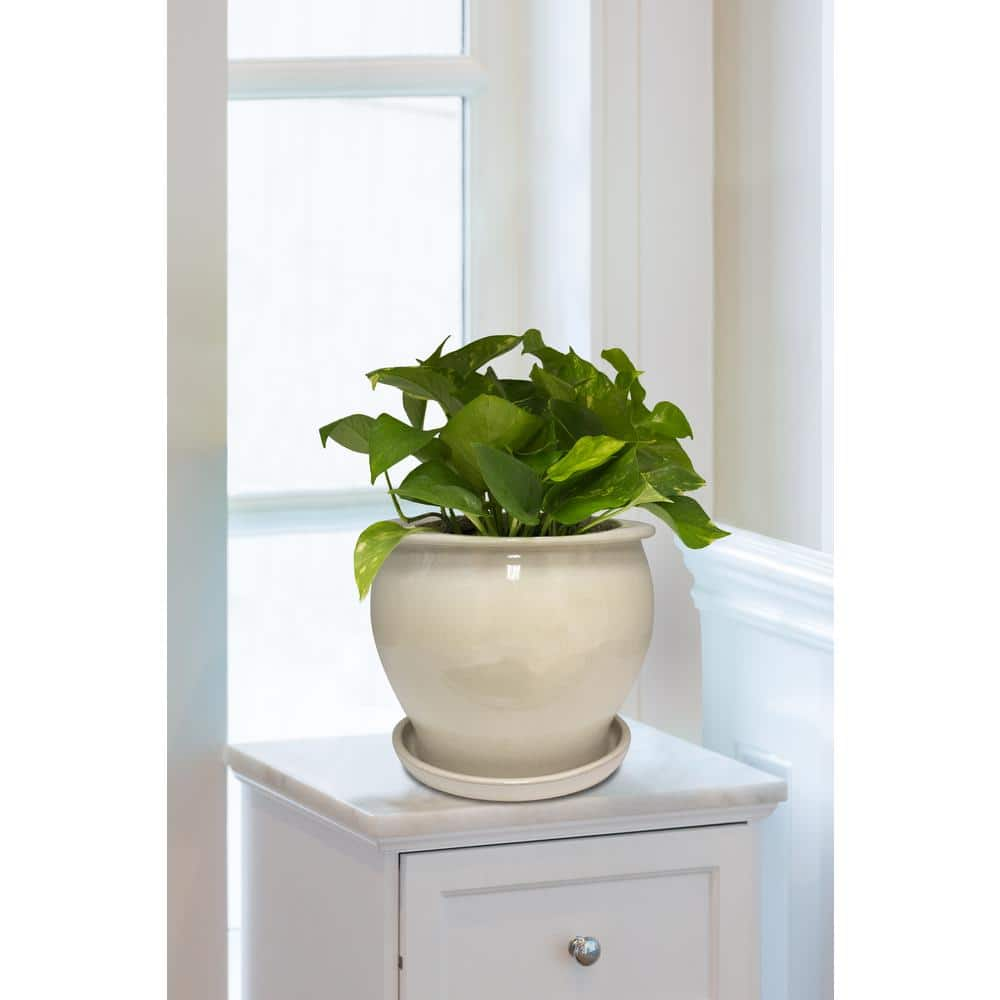 Trendspot 11 in. Dia Beige Solid Studio Ceramic Planter DB10021-11A