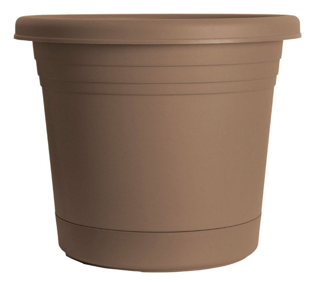 PLANTER RUGG CAP 8