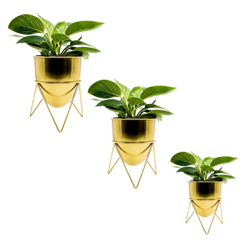 Wholesale Garden Supplies Antique Cheap Planter Unique Indoor Decoration Plant Pots Available At Reasonable Price