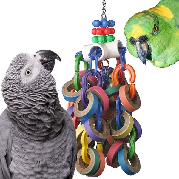 Super Bird Creations Bagel Cascade Bird Toy， Large