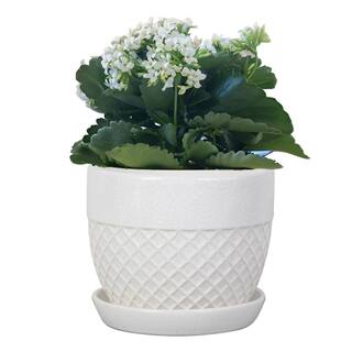 Vigoro 6 in. Delilah Small Glazed White Textured Ceramic Planter (6 in. D x 5 in. H) with Drainage Hole and Attached Saucer CR10732S-060W2