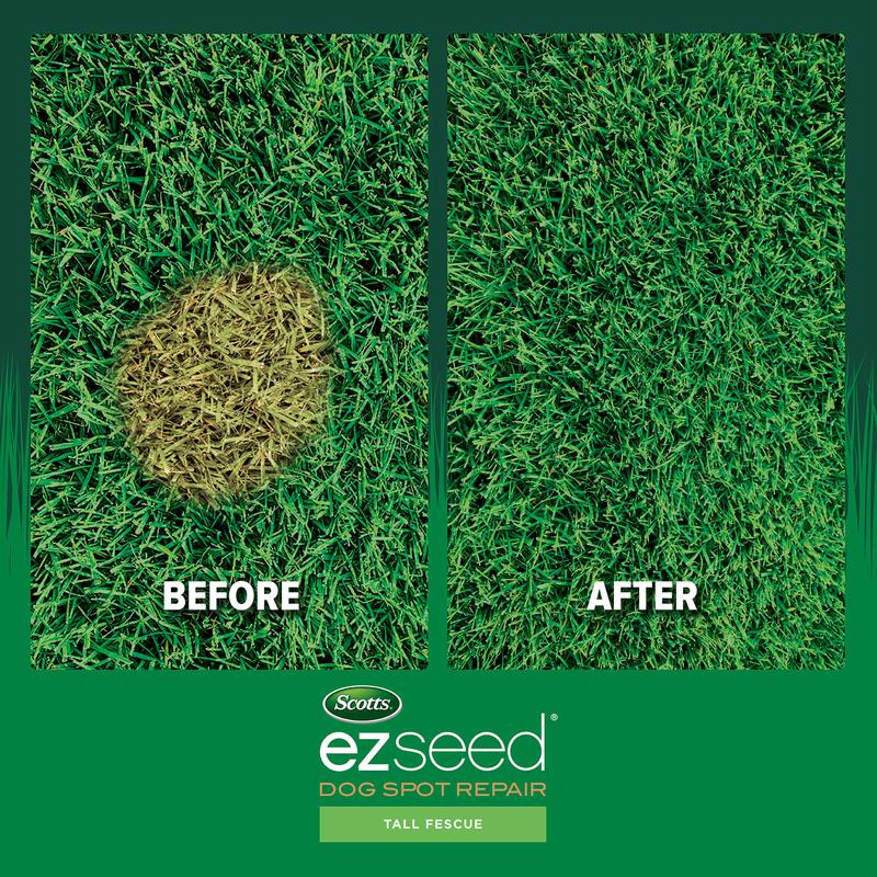 EZSEED DOGRPR FESCUE 2LB