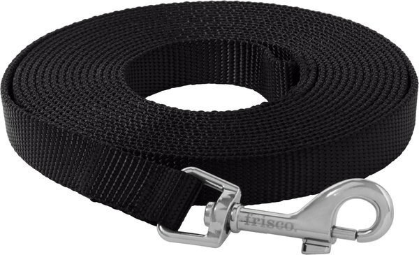 Frisco Training Dog Leash， Black