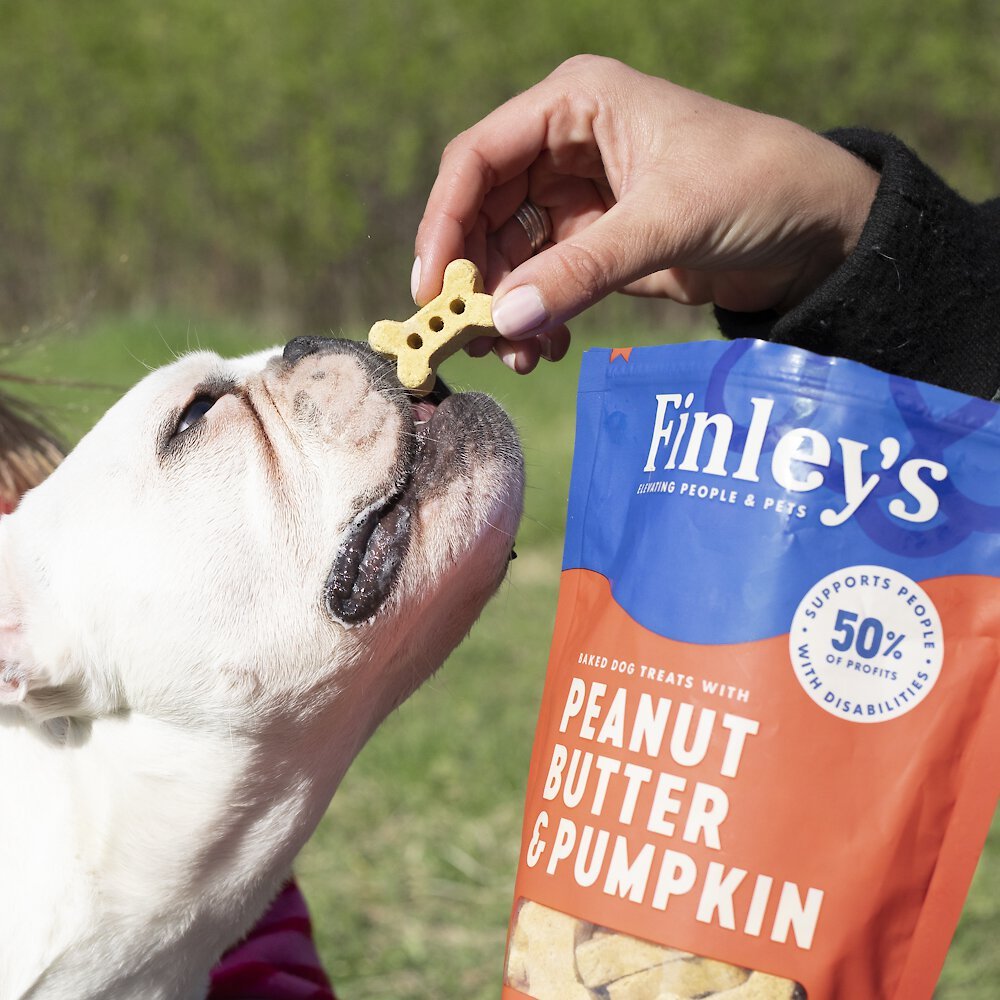 Finley's Barkery Wheat-Free Peanut Butter and Pumpkin Crunchy Biscuit Dog Treats