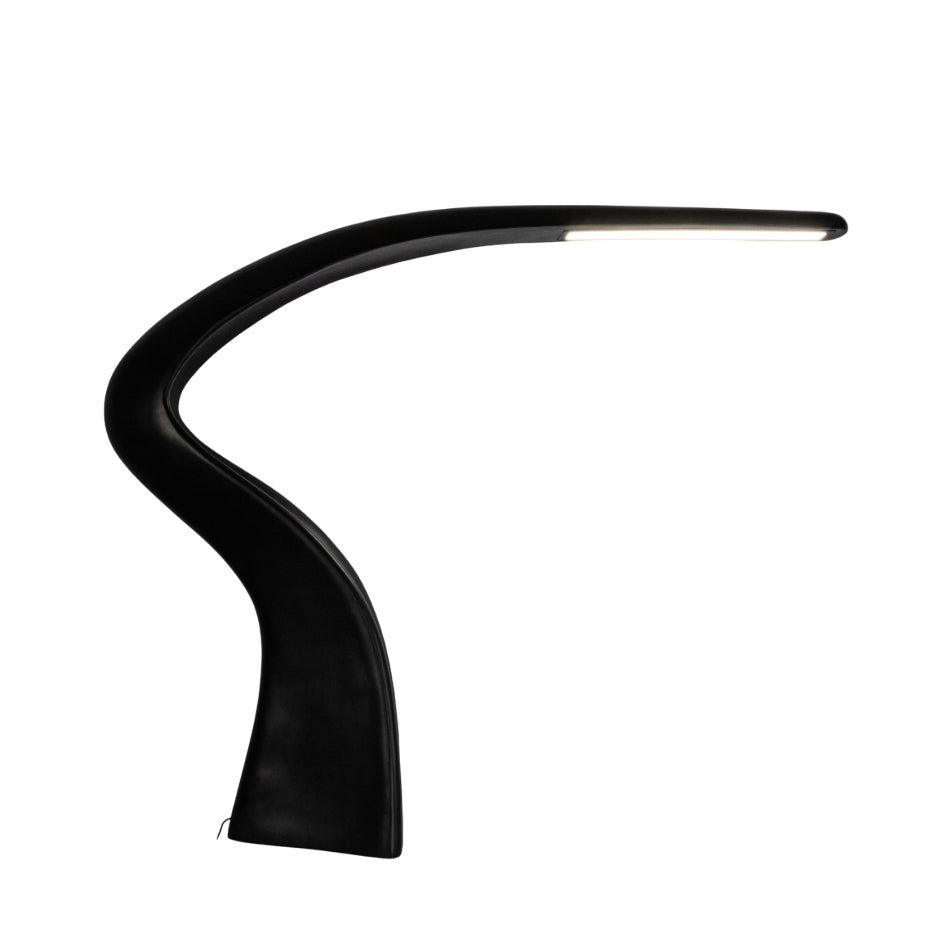 Seraph Curve Floor Lamp