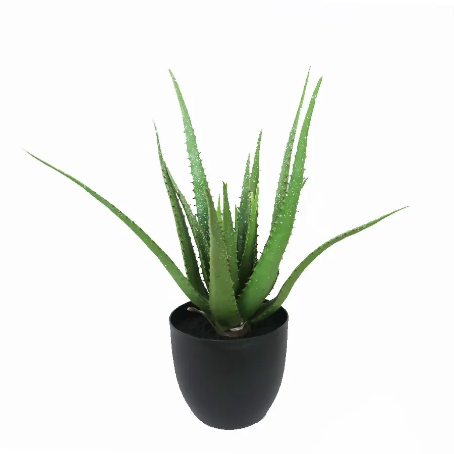 Supplies 50cm tall 17lvs real touch aloe plant