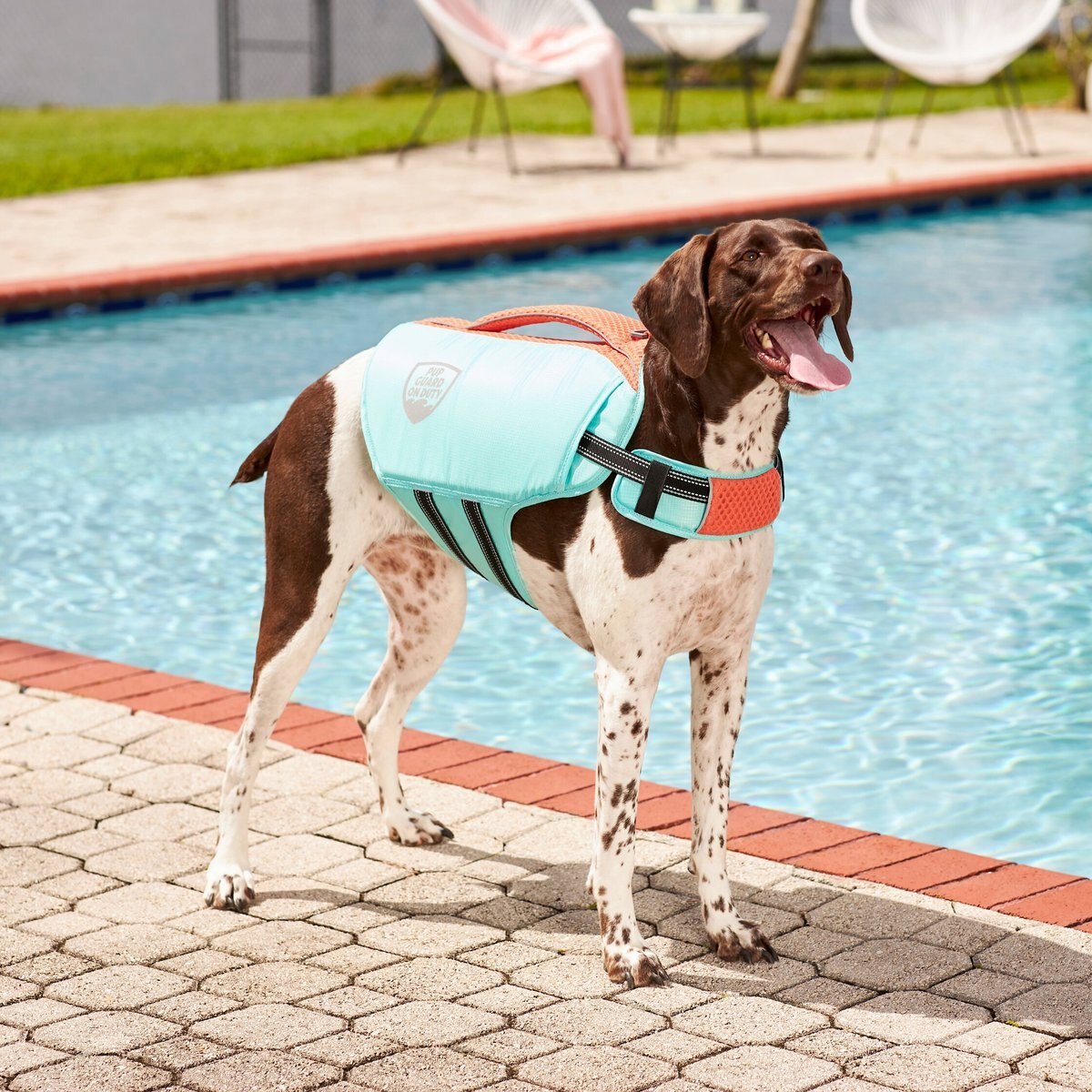 Frisco Active Dog Life Jacket