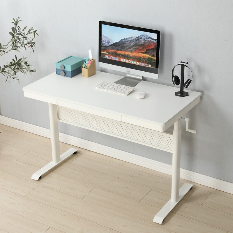 Height Adjustable Standing Desk  Large Sit Stand Up Desk with Drawer and 4 Controller  Computer Desk  Ergonomic Workstation