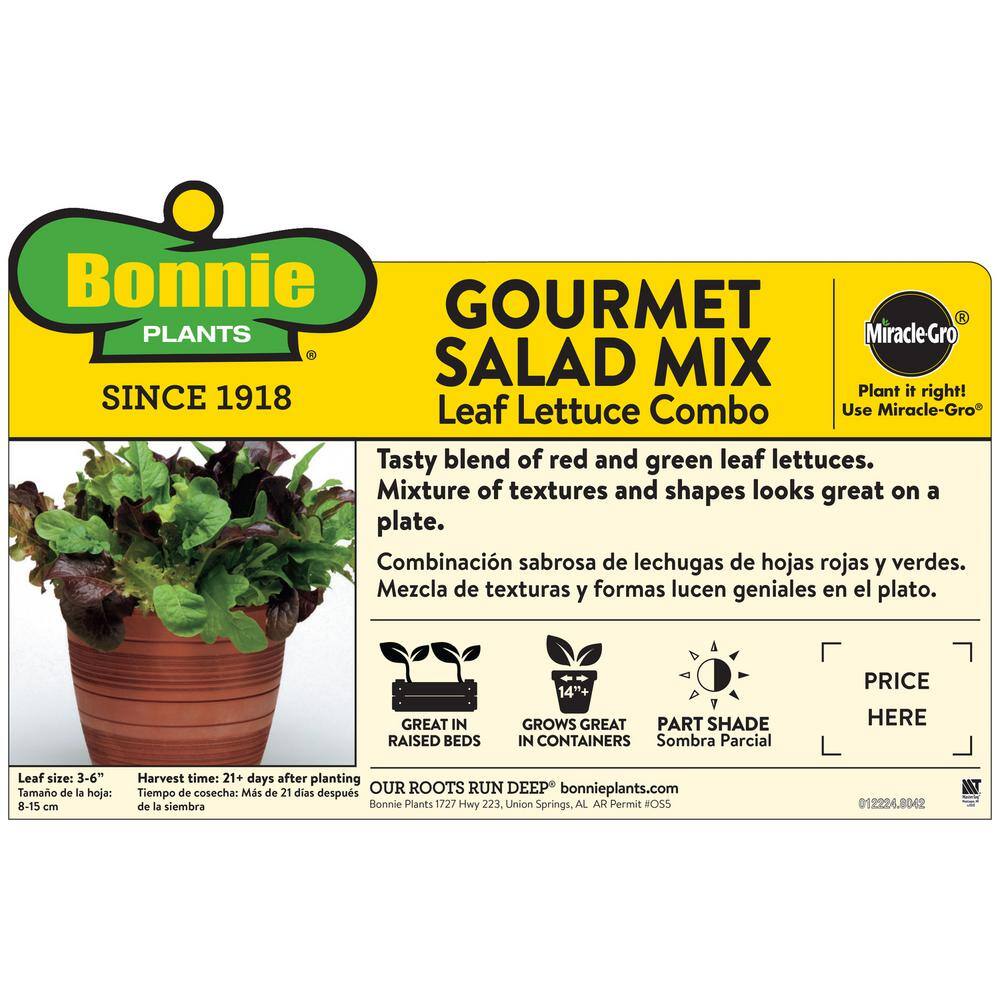 Bonnie Plants 19 oz. Gourmet Salad Lettuce Plant Kit-Red Light Green Dark Green Lettuce Leaves Smooth and Fluffed 0059