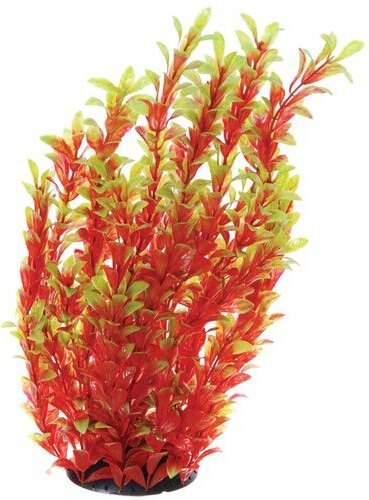 Underwater Treasures Red Ludwigia Fish Plant