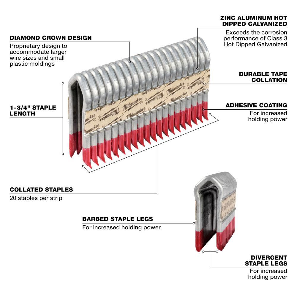 Milwaukee Galvanized Staples 1.75