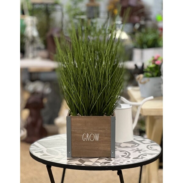 Rae Dunn Artificial Plant for Home Décor