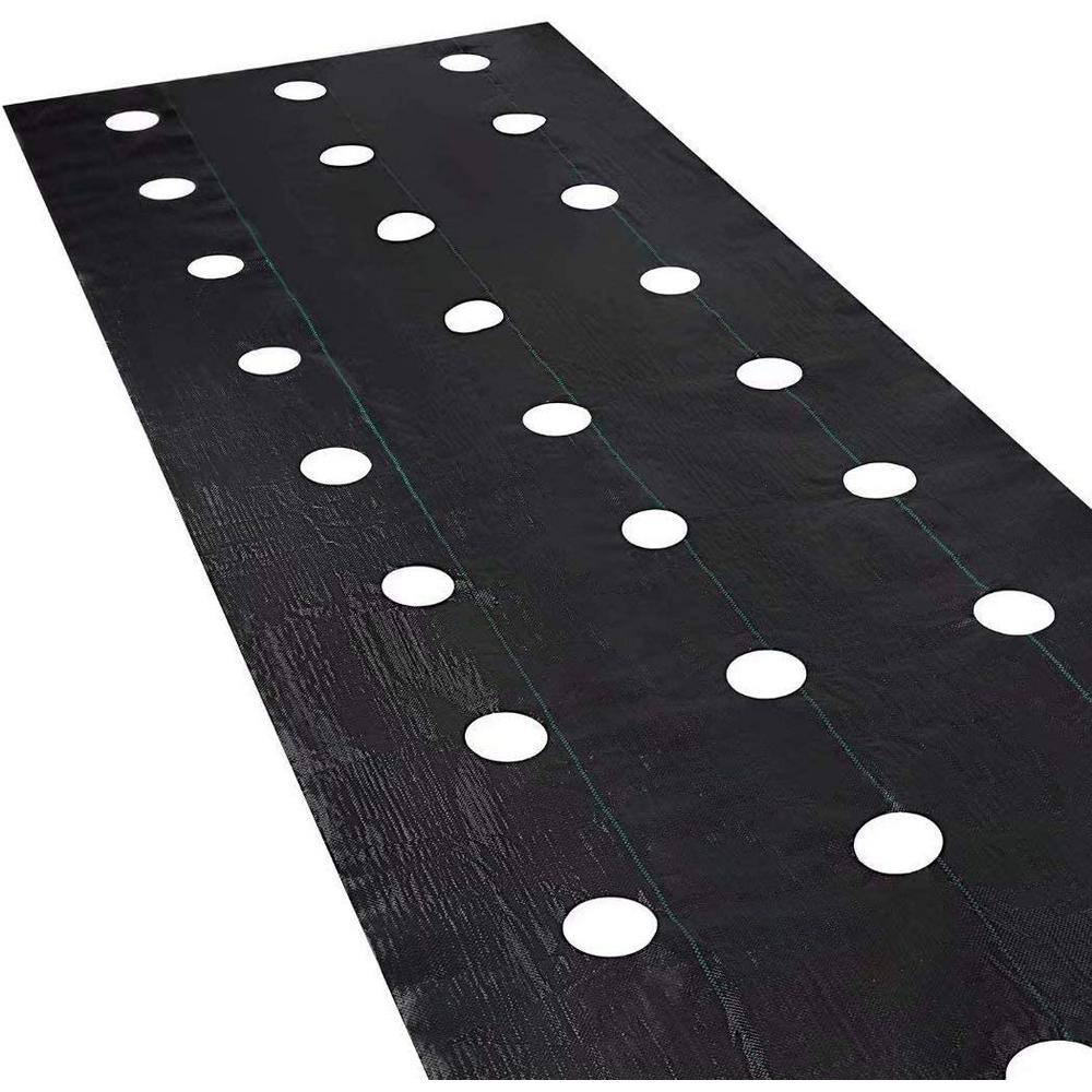 Agfabric 4 ft. x 12 ft. Eco-Friendly Weed Control Fabric Planting Holes for Vegetable Garden Landscape with 6 in. Dia GC300412H4R1