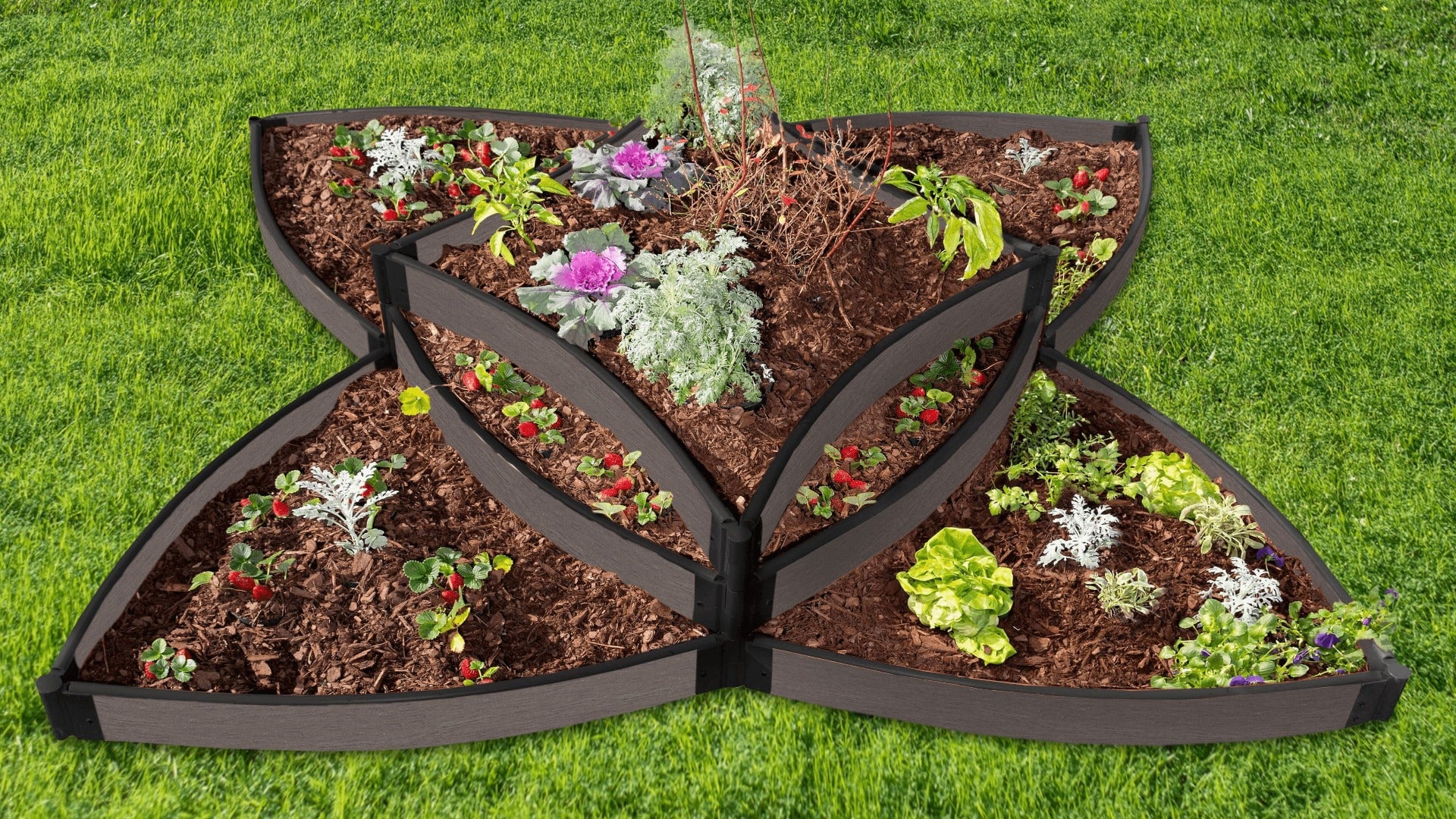 'Versailles Sunburst' 8' x 8' Terrace Garden Raised Bed