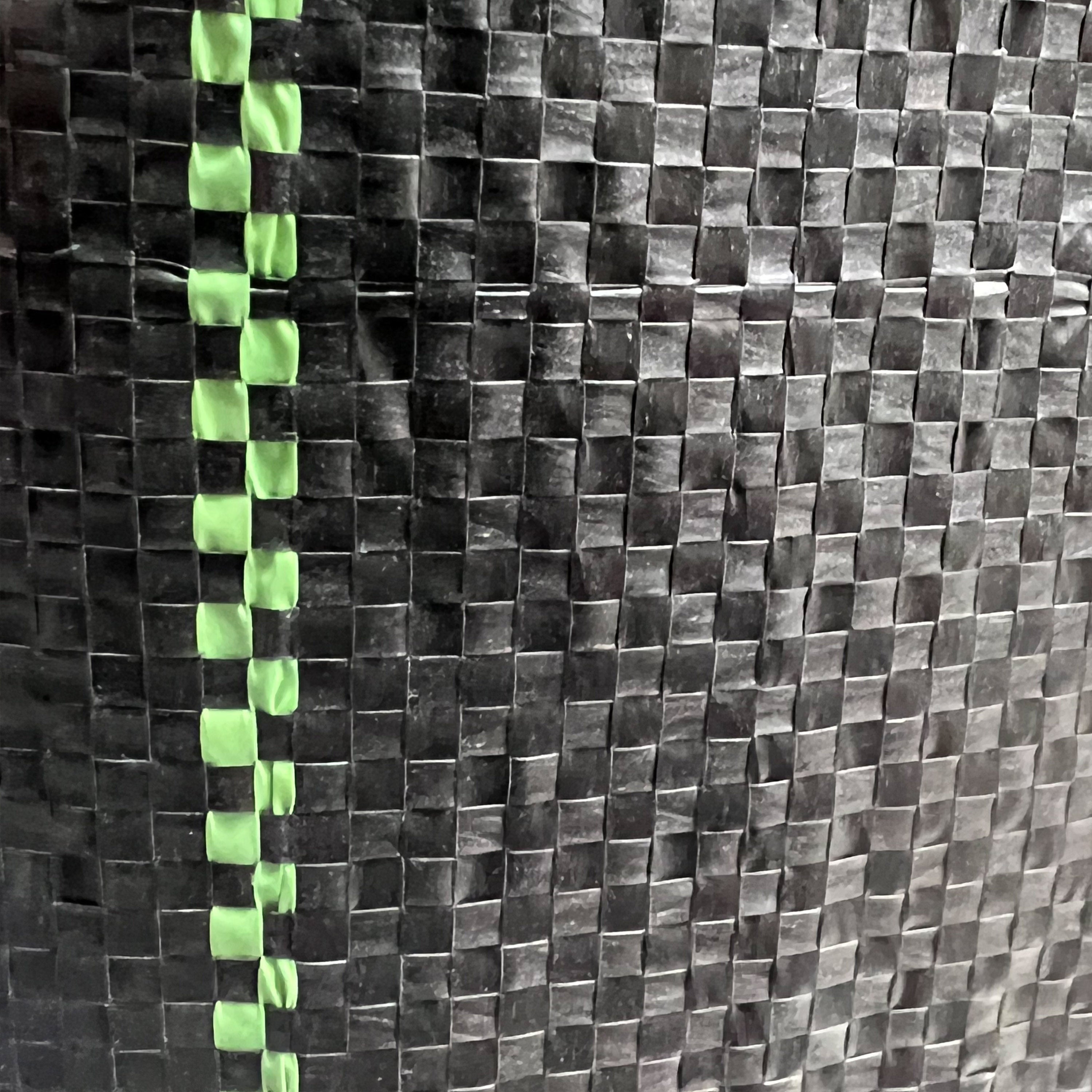 ALEKO Woven Weed Barrier Fabric 3 x 100 ft. Black with Green Stripes