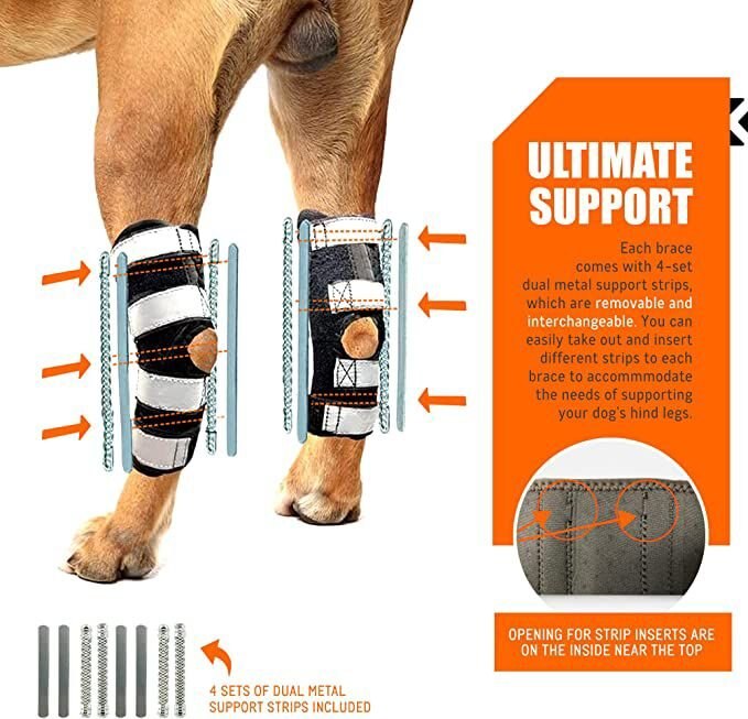 NeoAlly 3-in-1 Long Rear Leg Support Dog Splint Braces