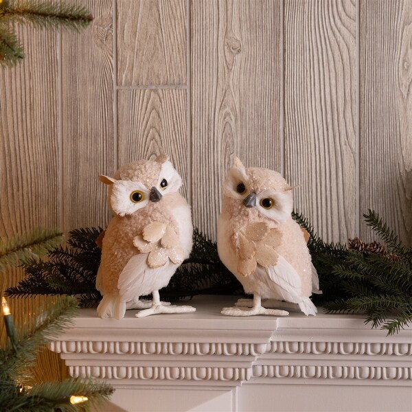 Glittered Winter Owl Shelf Sitter (Set of 6)