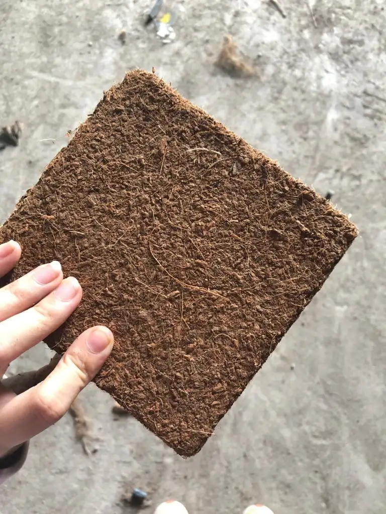 Wholesale price Peat Moss Coconut Coir Pellets Seedling Soil Block 5kg Coco Peat From Viet Nam Garden Plants