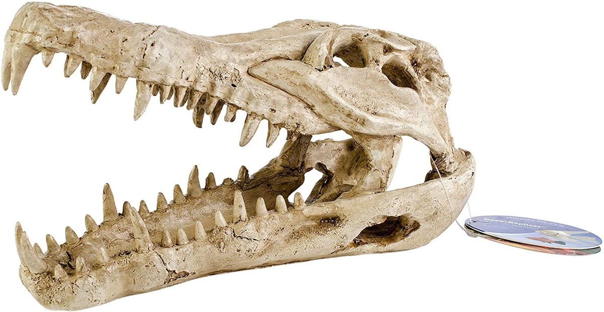 Penn-Plax Gator Skull Aquarium Ornament