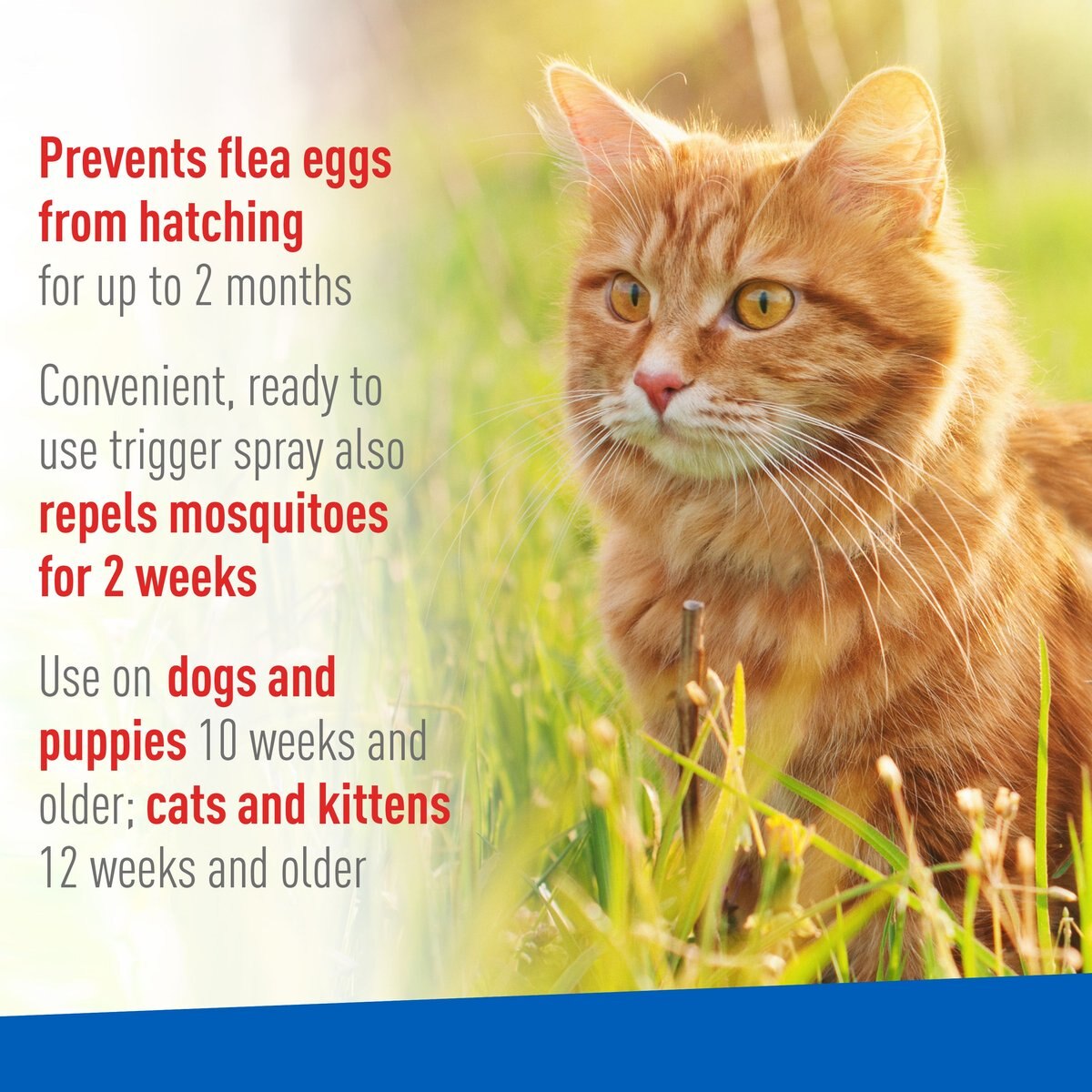 Adams Topical Flea and Tick Spray for Dogs and Cats