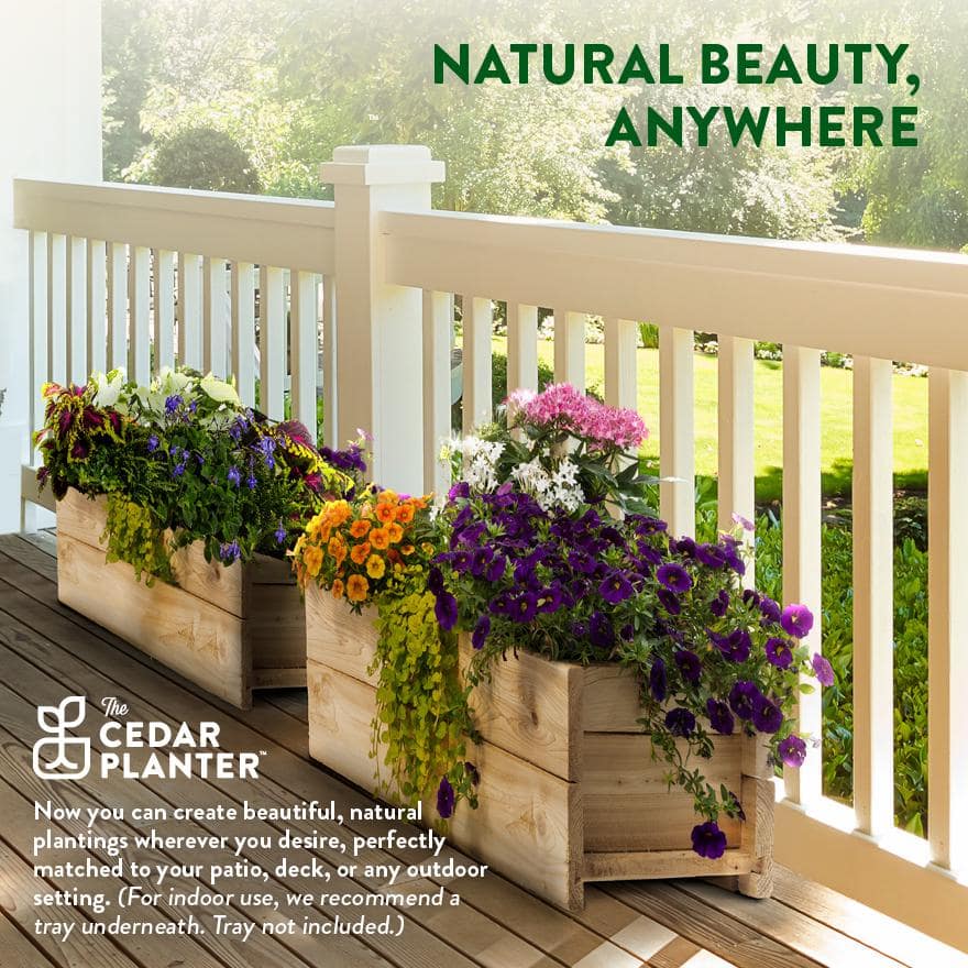 Greenes Fence 46 in. x 11 in. x 7 in. Cedar Wood Planter Box RCPB1146H2