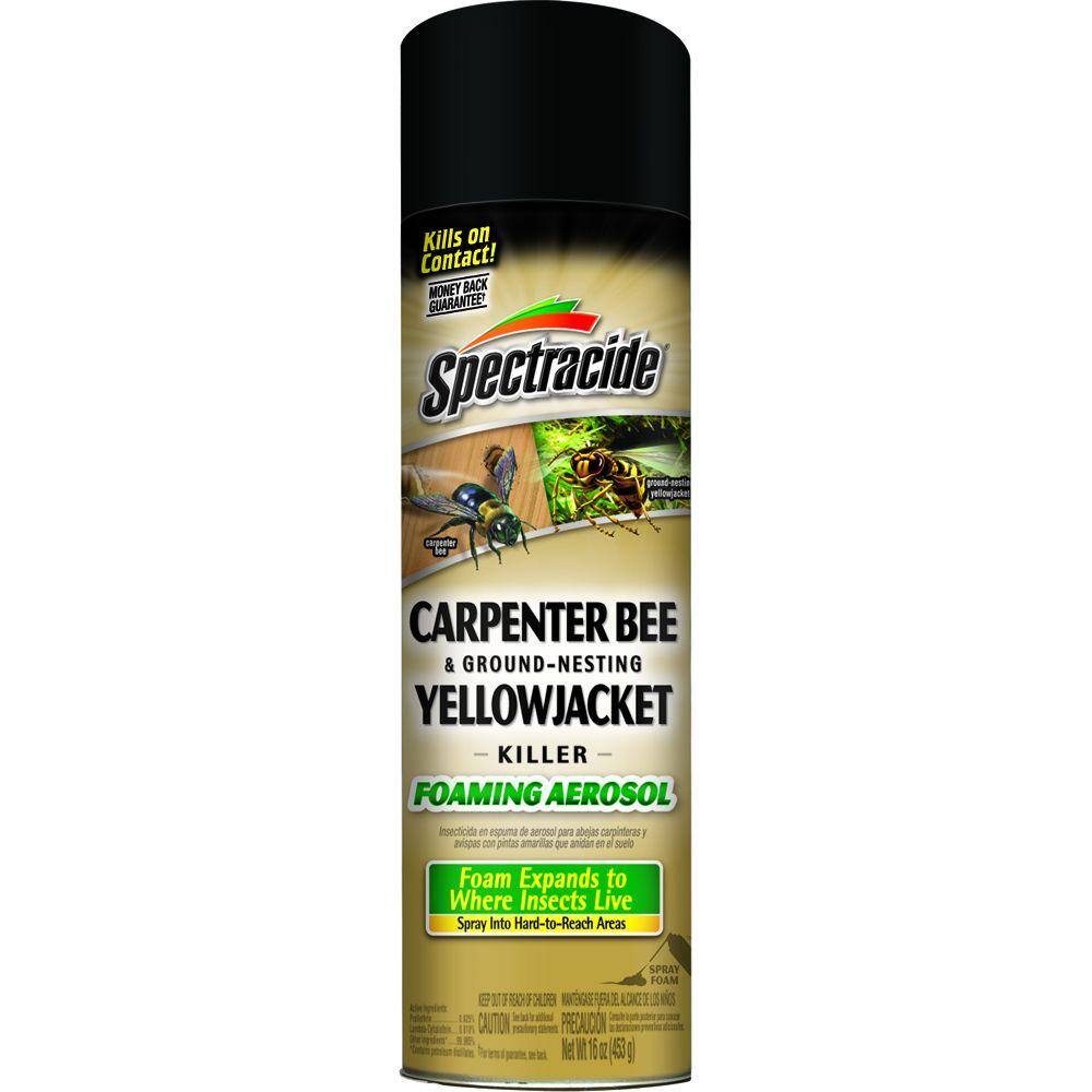 Spectracide 16 oz. Aerosol Carpenter Bee and Ground-Nesting Yellow jacket Killer Foam HG-53371