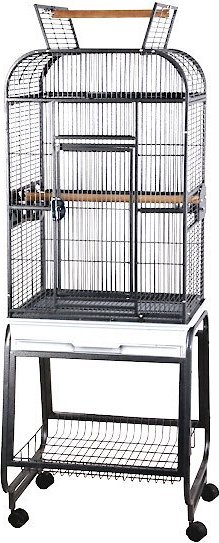 AandE Cage Company Play Top Bird Cage and Plastic Base