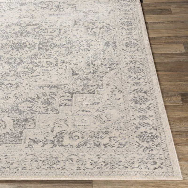 Troyes Traditional Area Rug