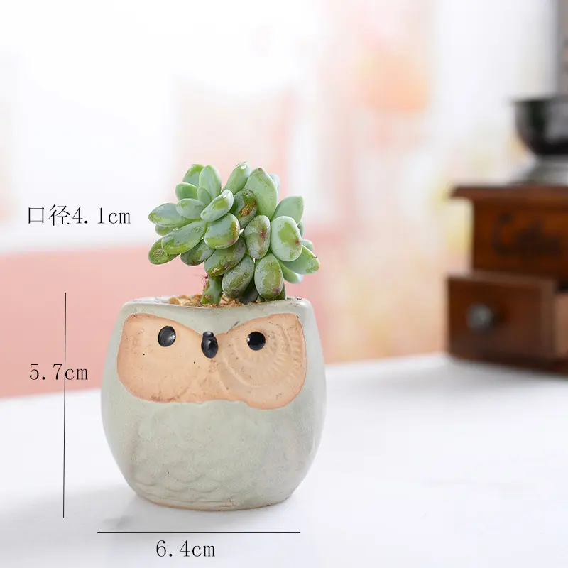 Animal Flower Pot Mini Ceramic Owl Flower Pot Set