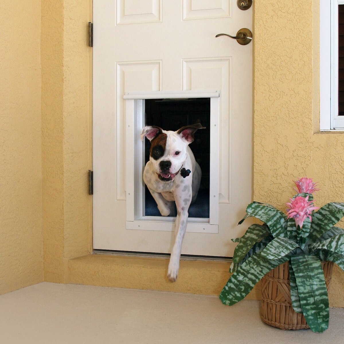 PlexiDor Performance Pet Doors Electronic Door Mounted Dog and Cat Door， Large