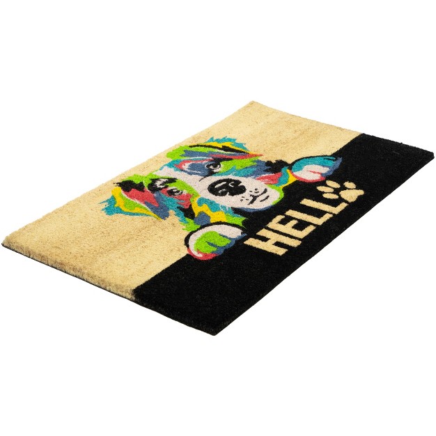 Multicolor Dog Outdoor Coir Doormat 18 quot X