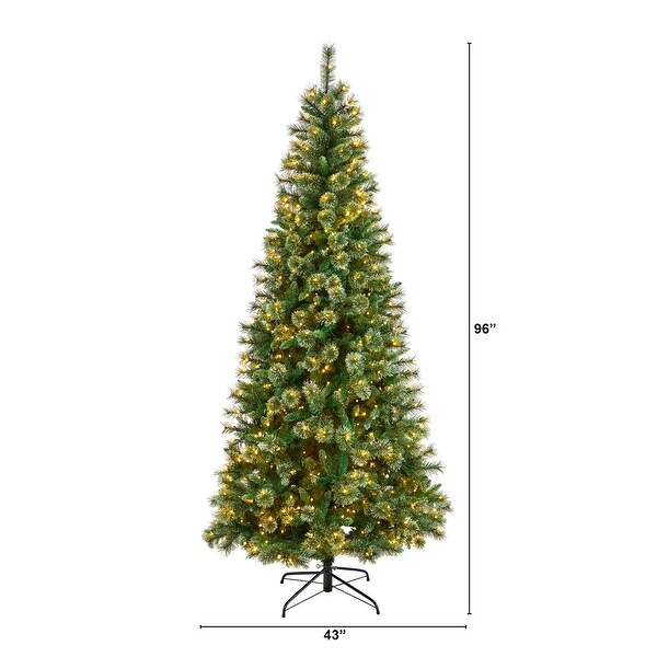 8' Wisconsin Slim Snow Tip Pine Christmas Tree with 600 Clear Lights