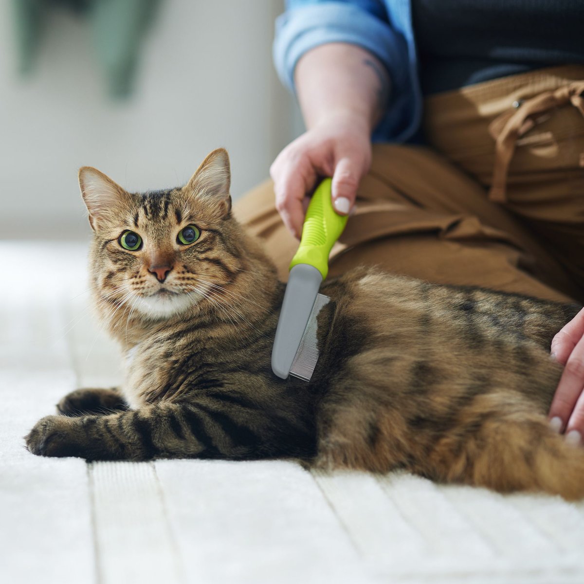 Frisco Double-Row Flea Comb for Cats and Dogs