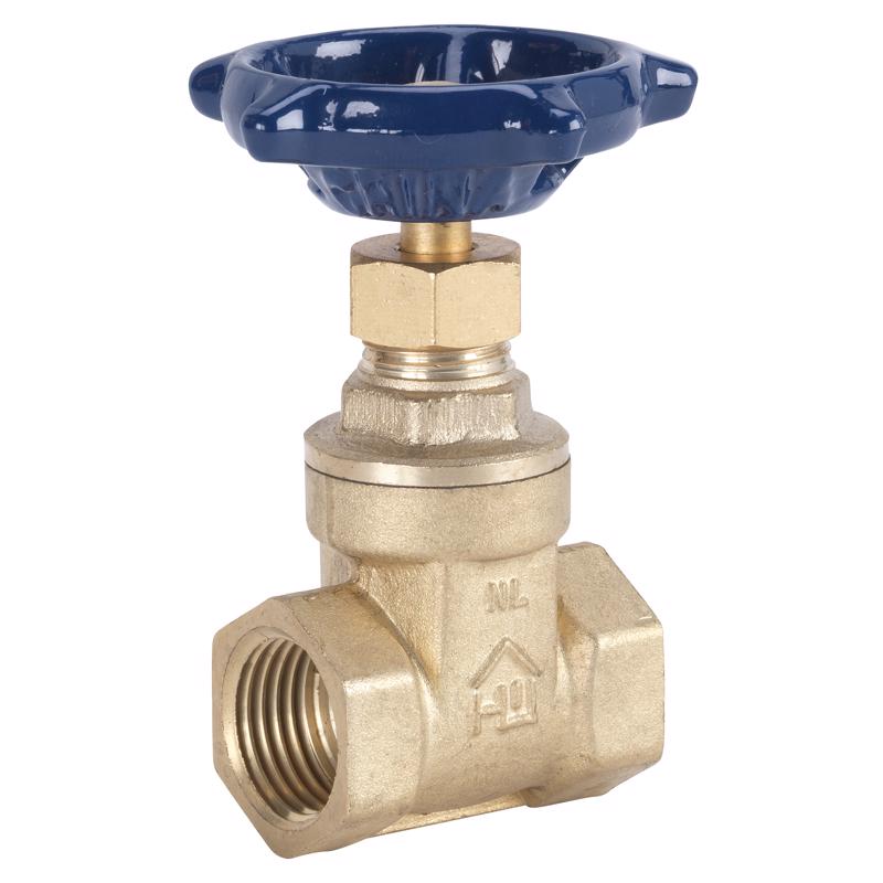 VALVE GATE BRASS 2