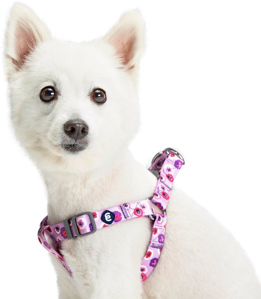 Blueberry Pet Essentials Spring Scent Inspired Garden Floral Step-in Dog Harness